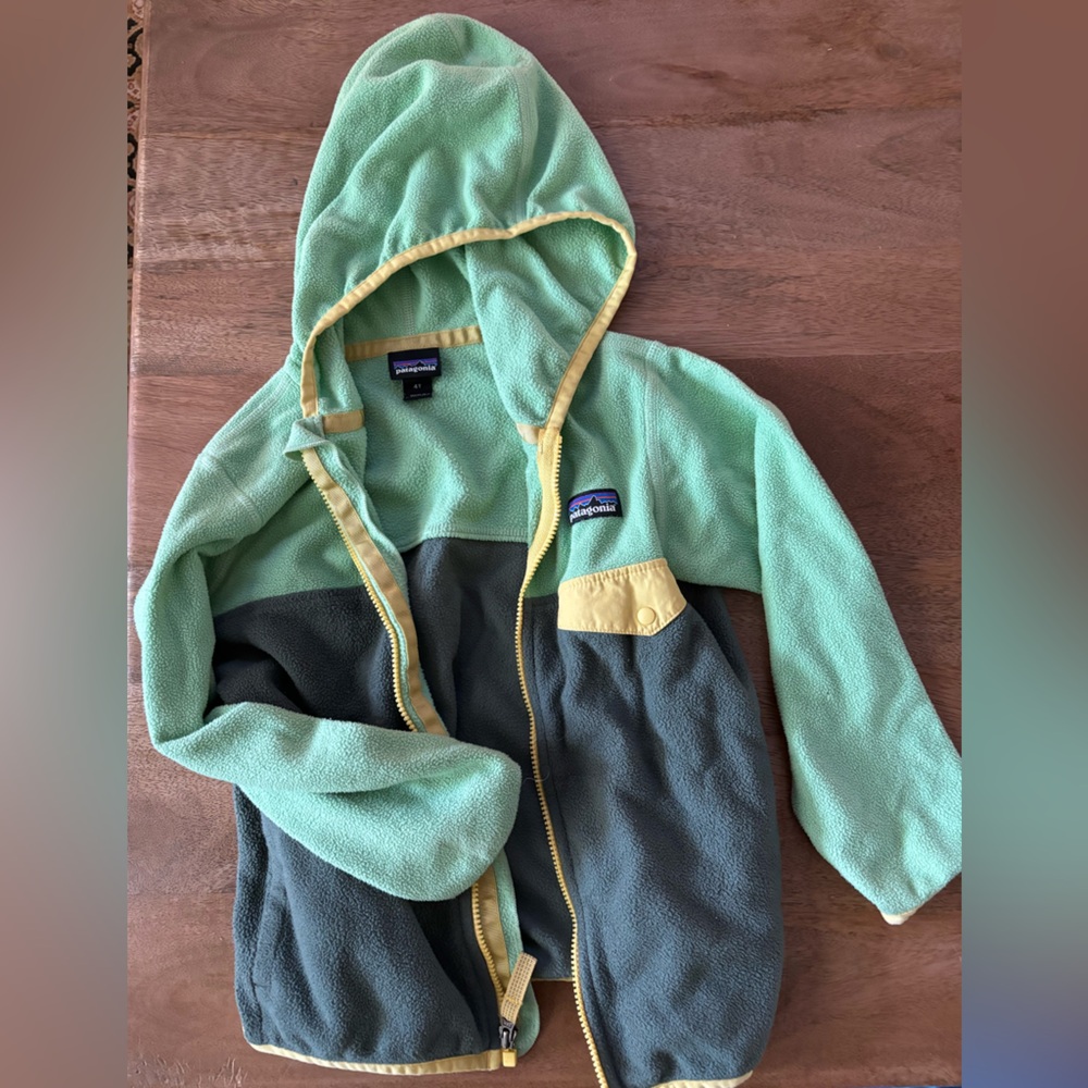 Patagonia fleece 4T